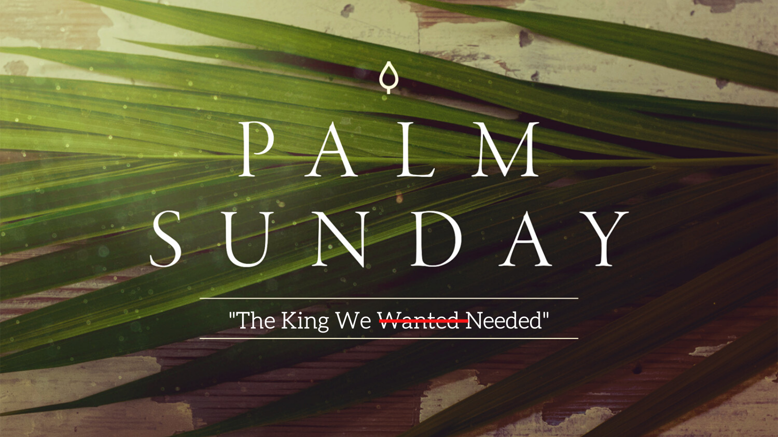 Palm sunday sermon image