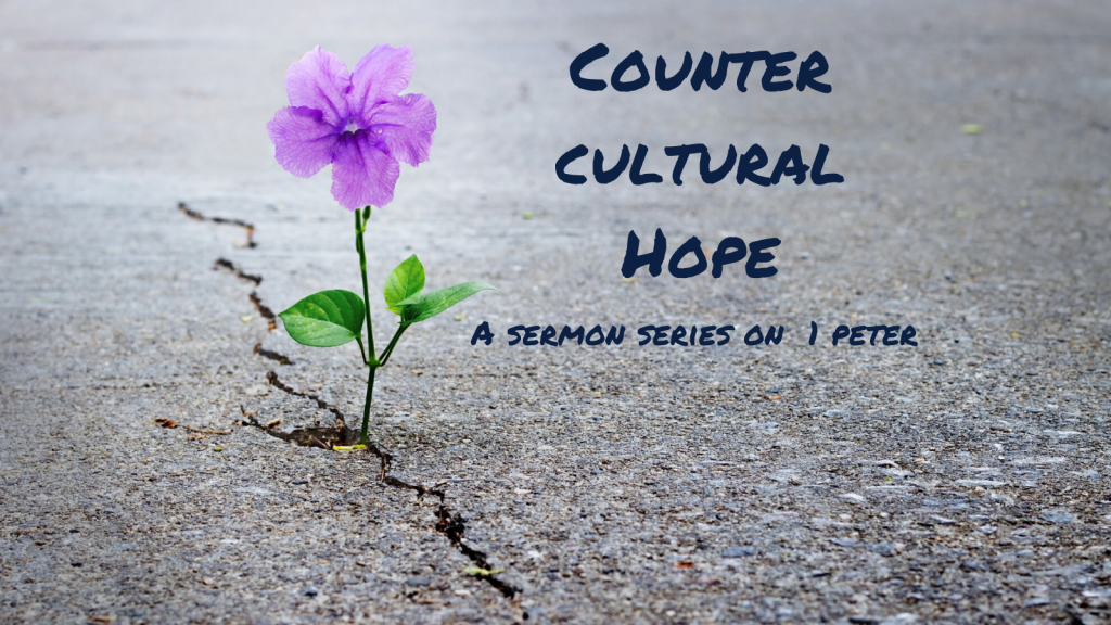 Counter Cultural Hope
